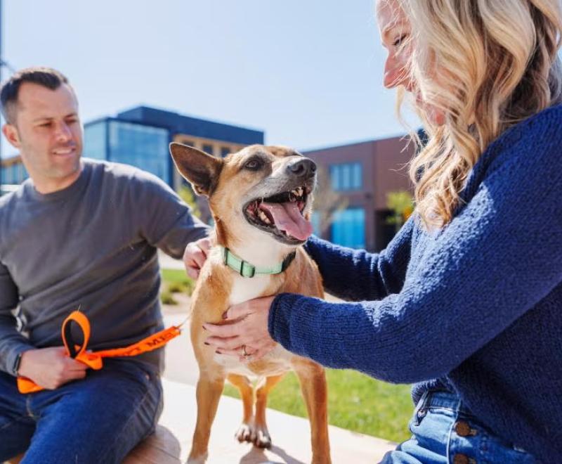 Two people outside interacting with a happy, leashed dog